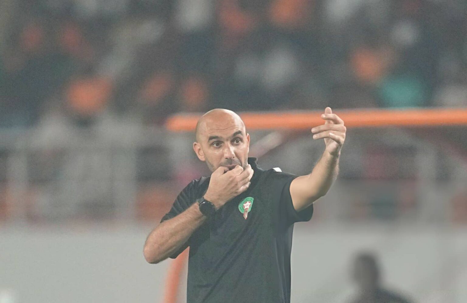 5 لاعبين من البطولة في اللائحة الأولية لوليد الركراكي